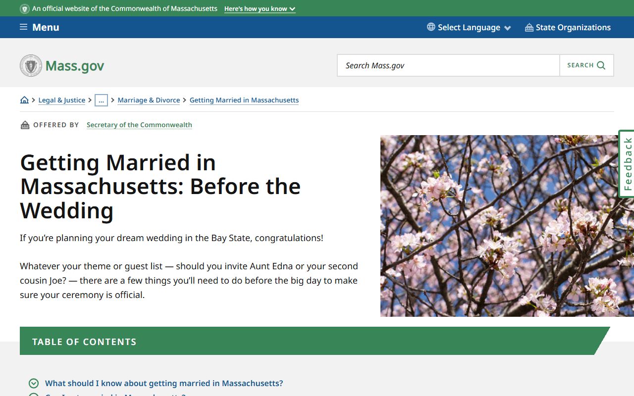 Massachusetts pre-wedding guide showing marriage license requirements